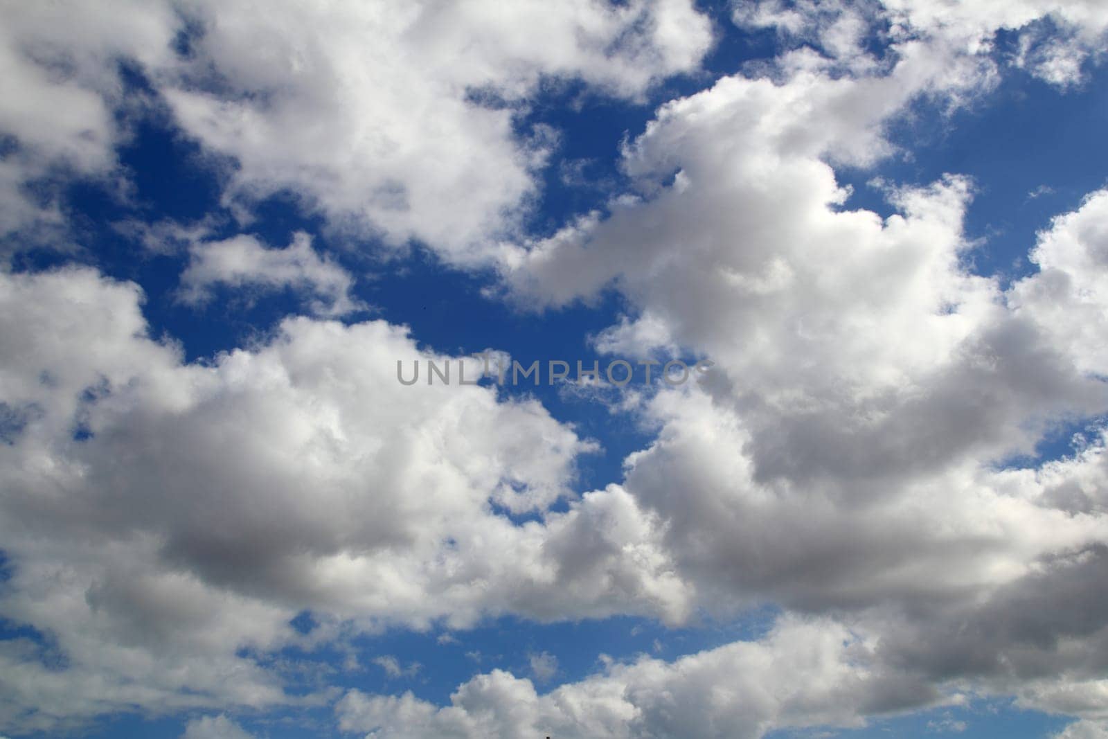 beautiful summer blue sky white perfect clouds