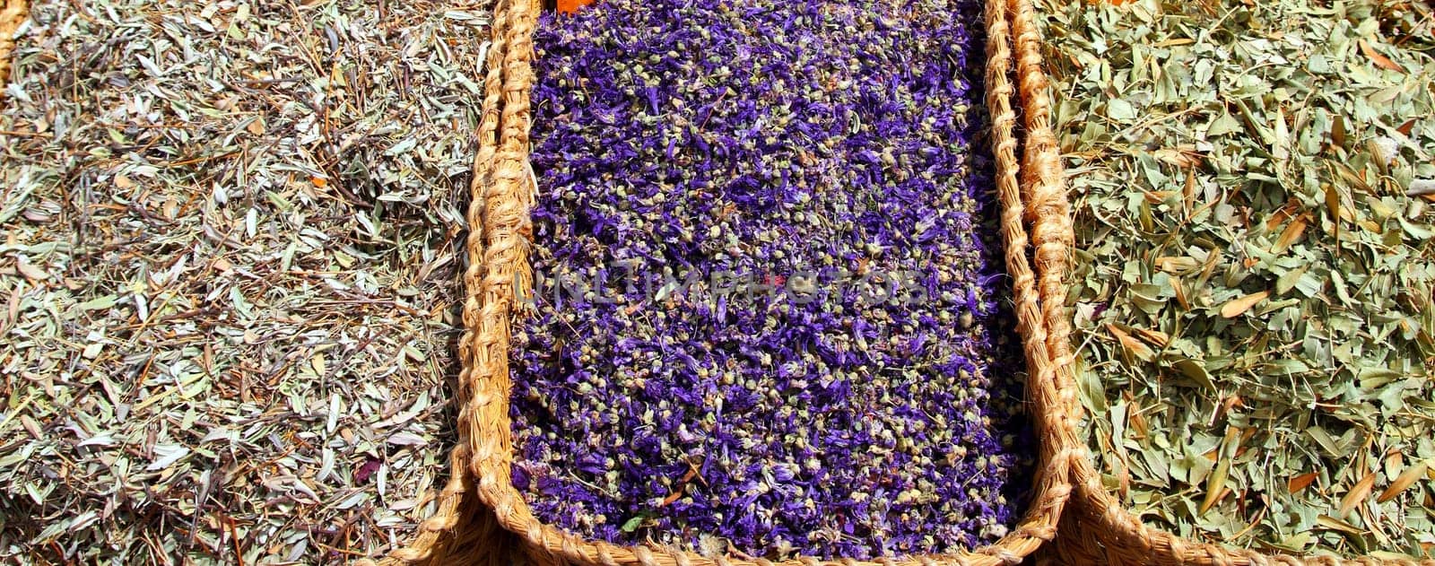 herbal natural medicine market plants leaves traditional medicine