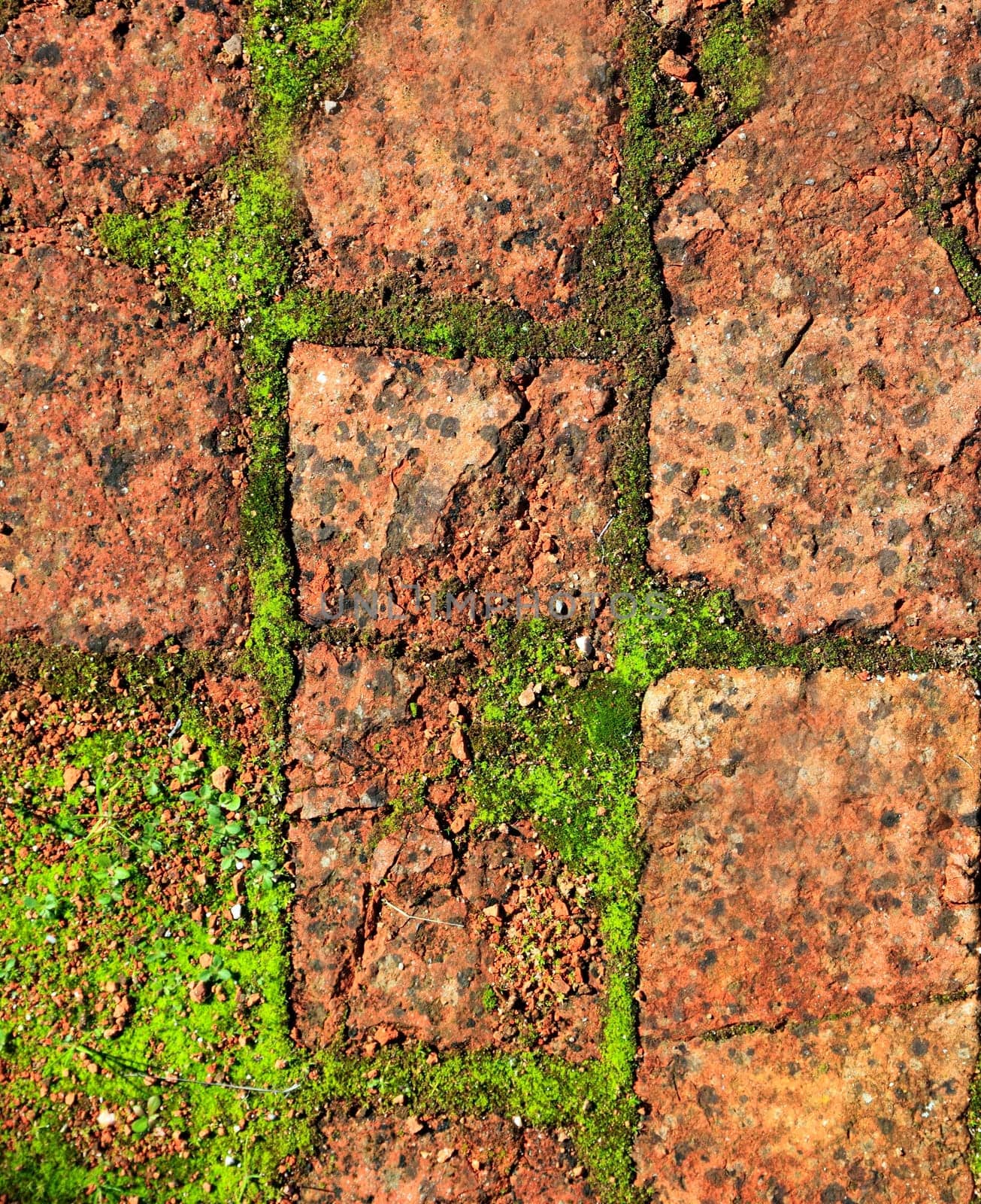 clay bricks soil red pavement traditional in Spain