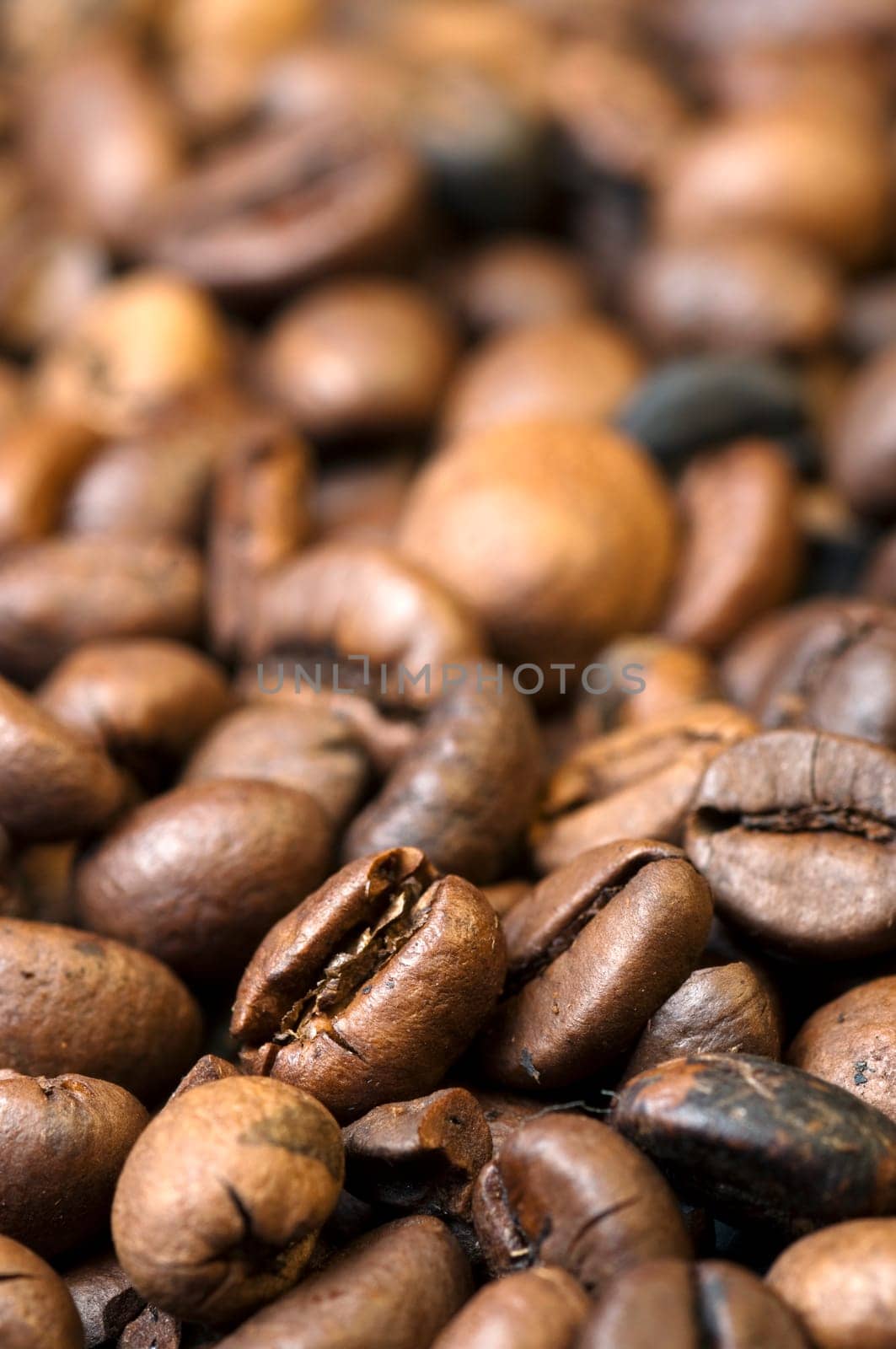 Close-up of coffee beans with space for your text