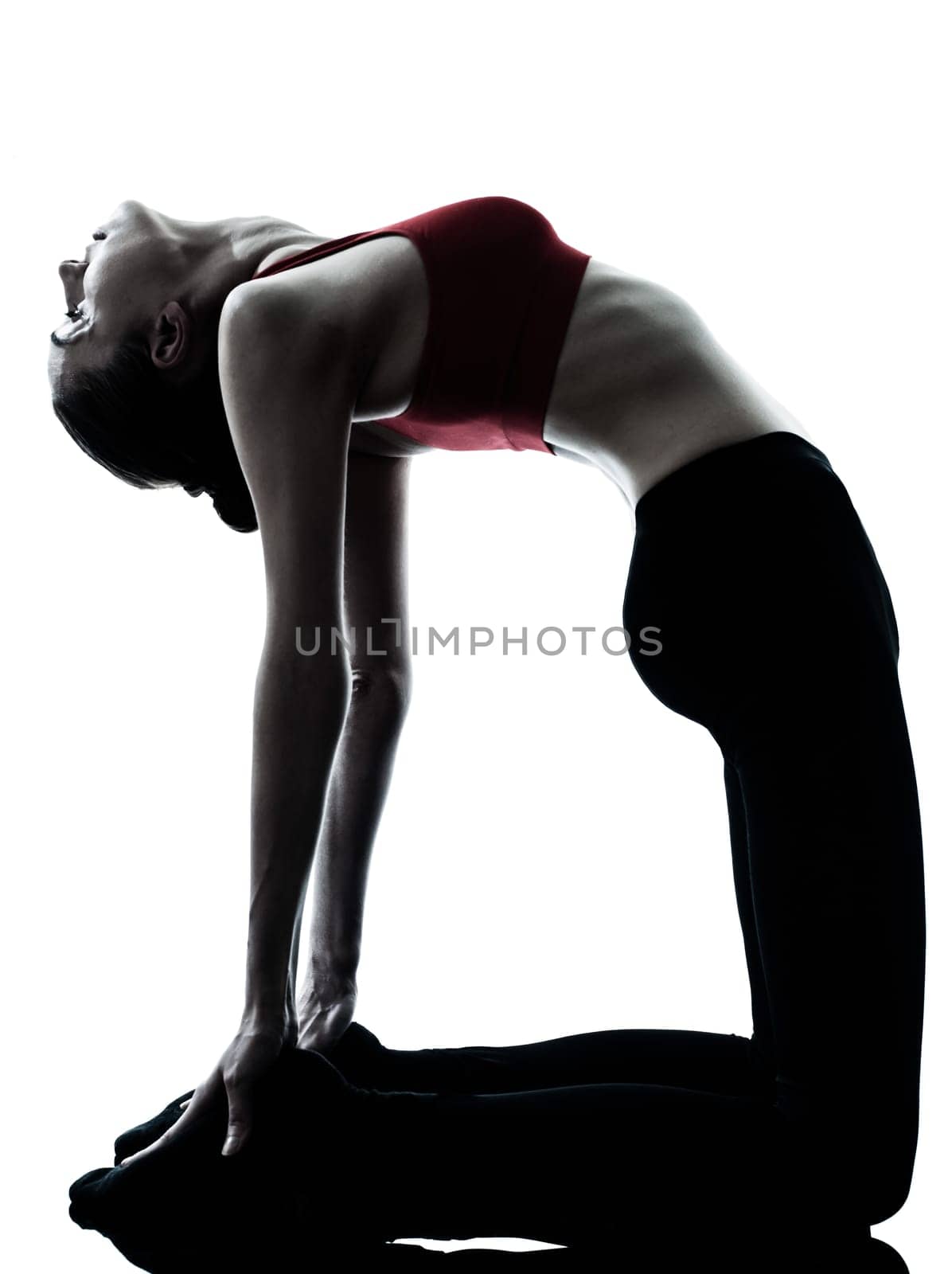 one caucasian woman exercising yoga camel pose in silhouette studio isolated isolated on white background