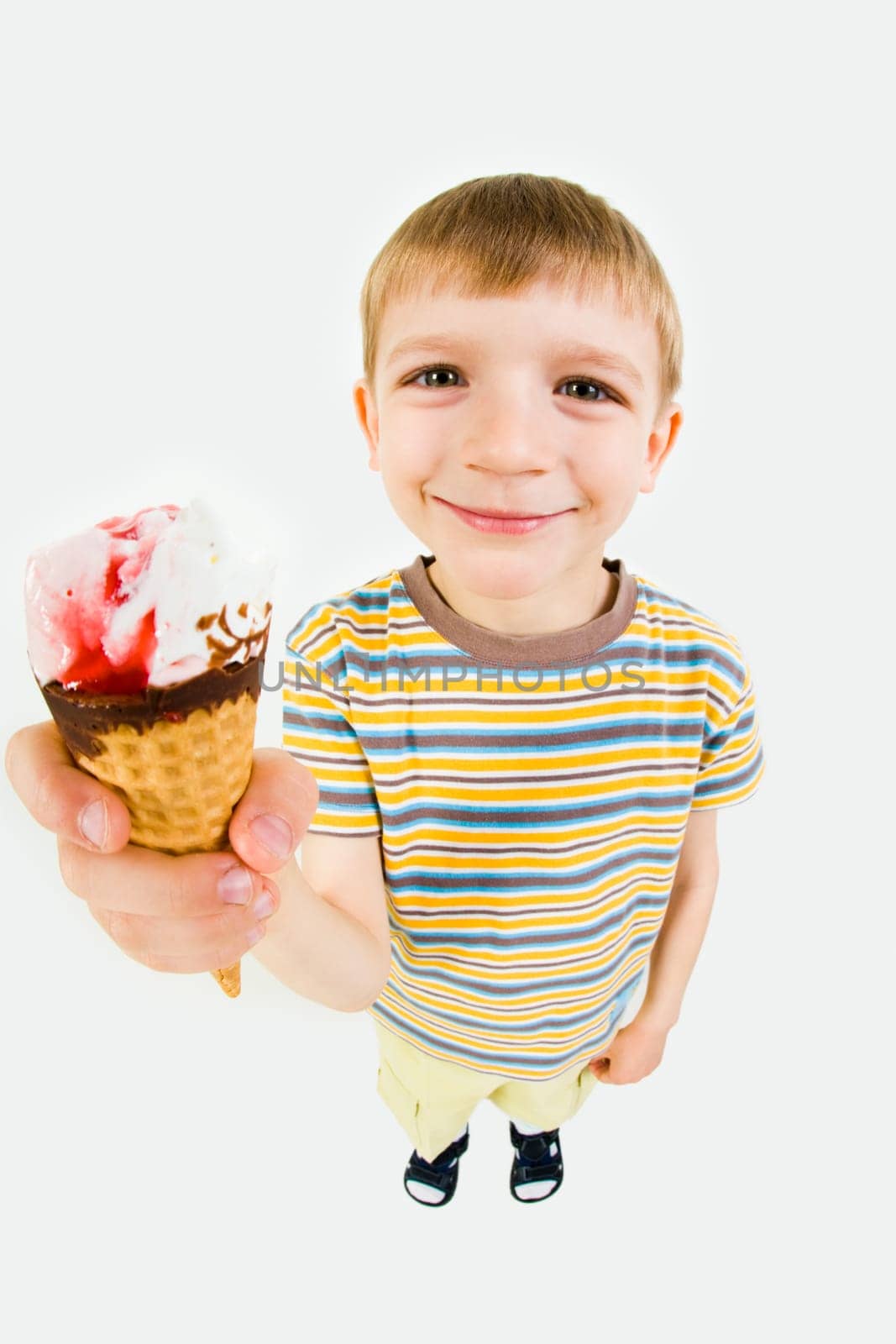 Portrait of boy in casual clothing showing the ice-cream