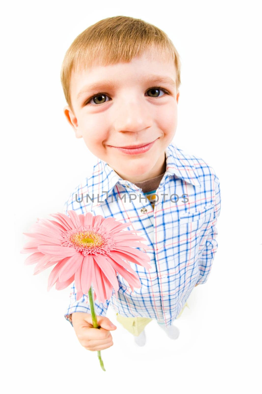 Image of smiling boy giving the pink flower
