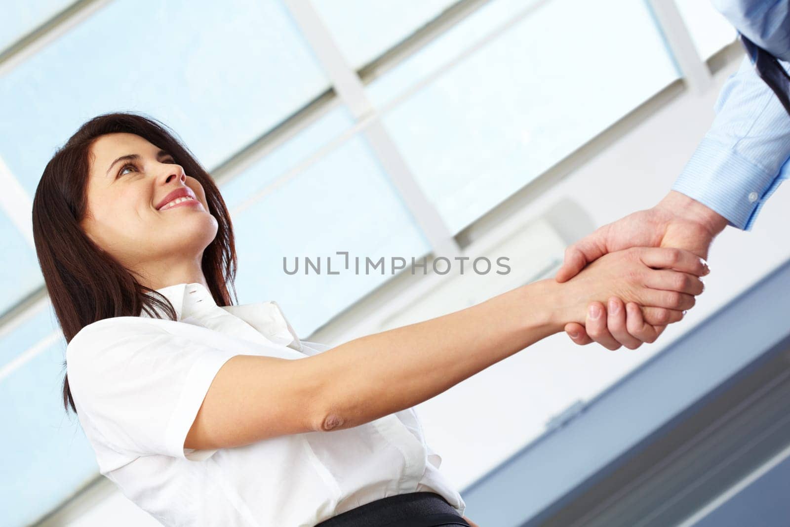 Businesswoman shaking hands with partner