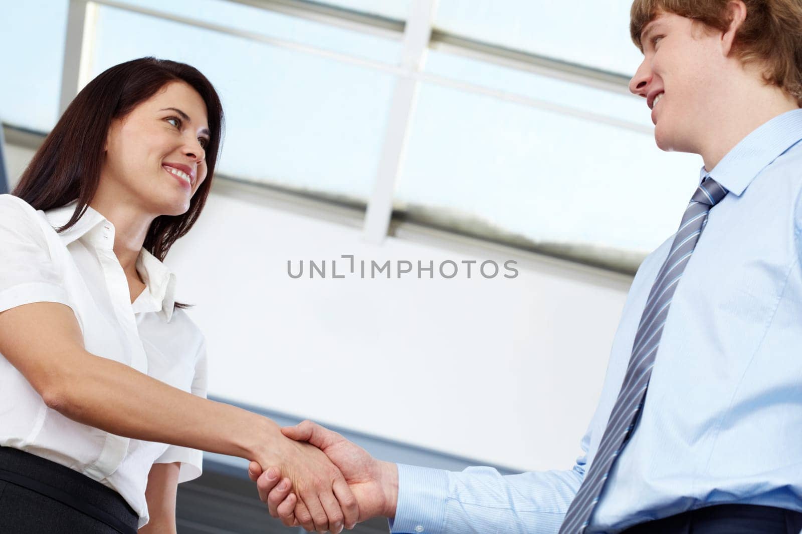 Businesswoman shaking hands with businessman
