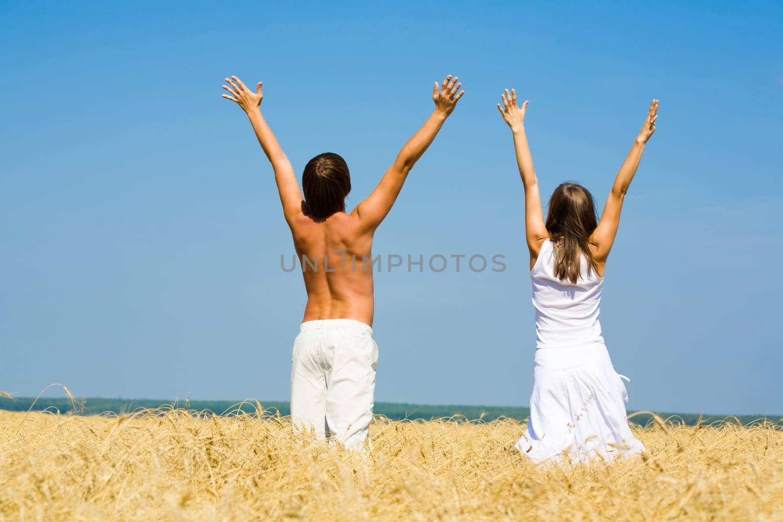 Portrait of back of people raising arm in the field
