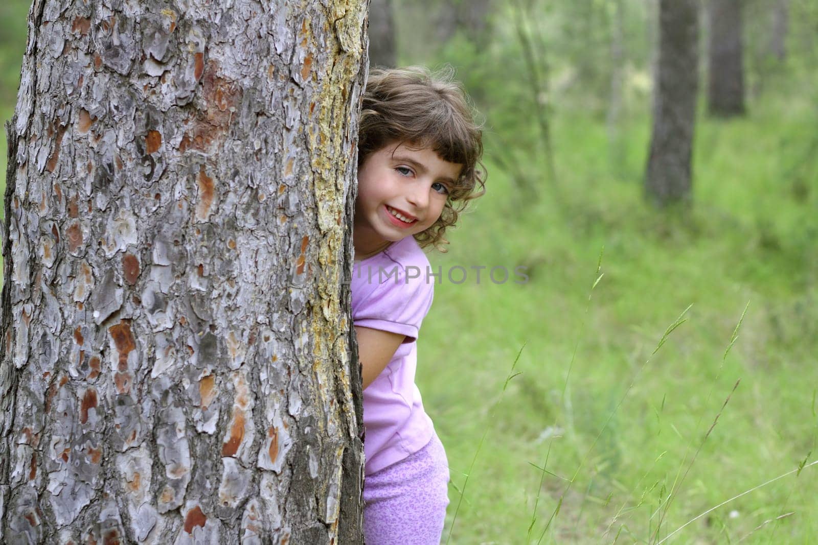 little girl hide park tree trunk green pine forest outdoor