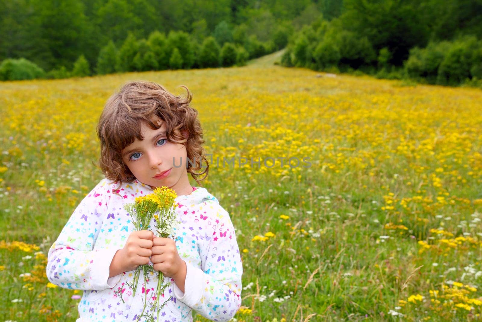 Girl picking flowers in yellow spring meadow beautiful scenic in Pyrenees spain