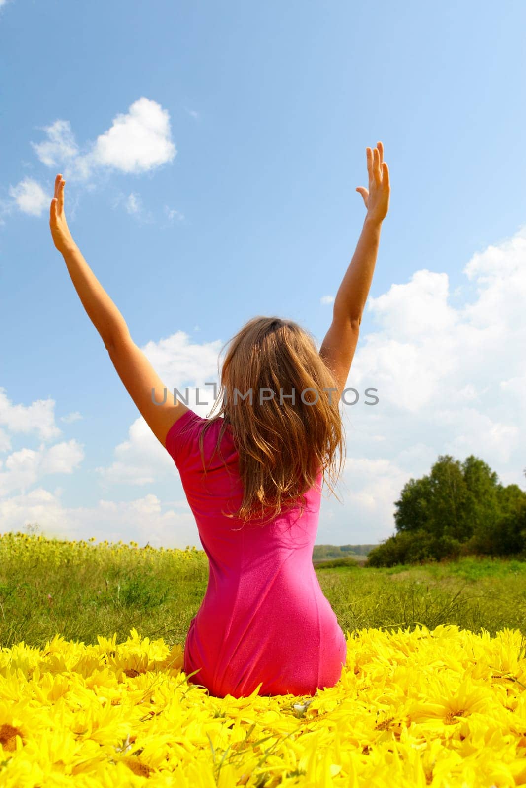 Back view of pretty girl seated on sunflowers and enjoying summer day