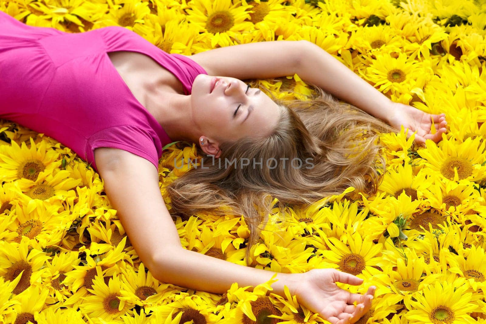 Photo of pretty girl lying on sunflowers and having pleasure