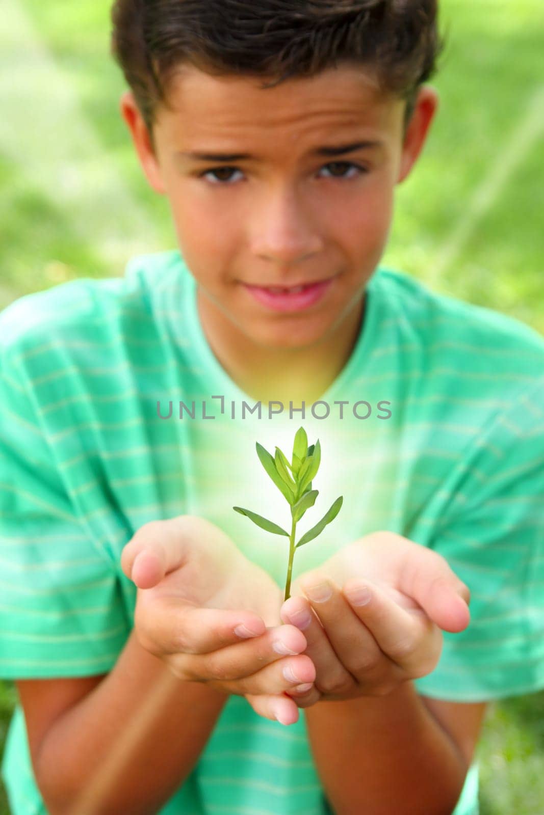plant sprout growing glow ligth on teenager boy hands outdoors