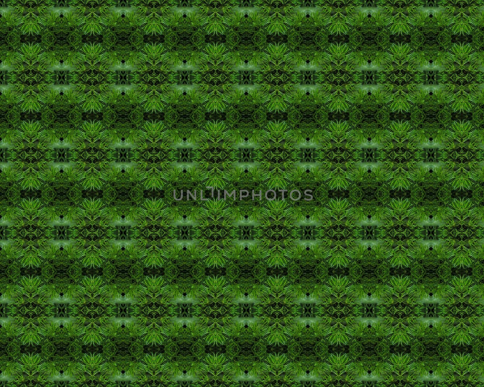 Christmas tree background