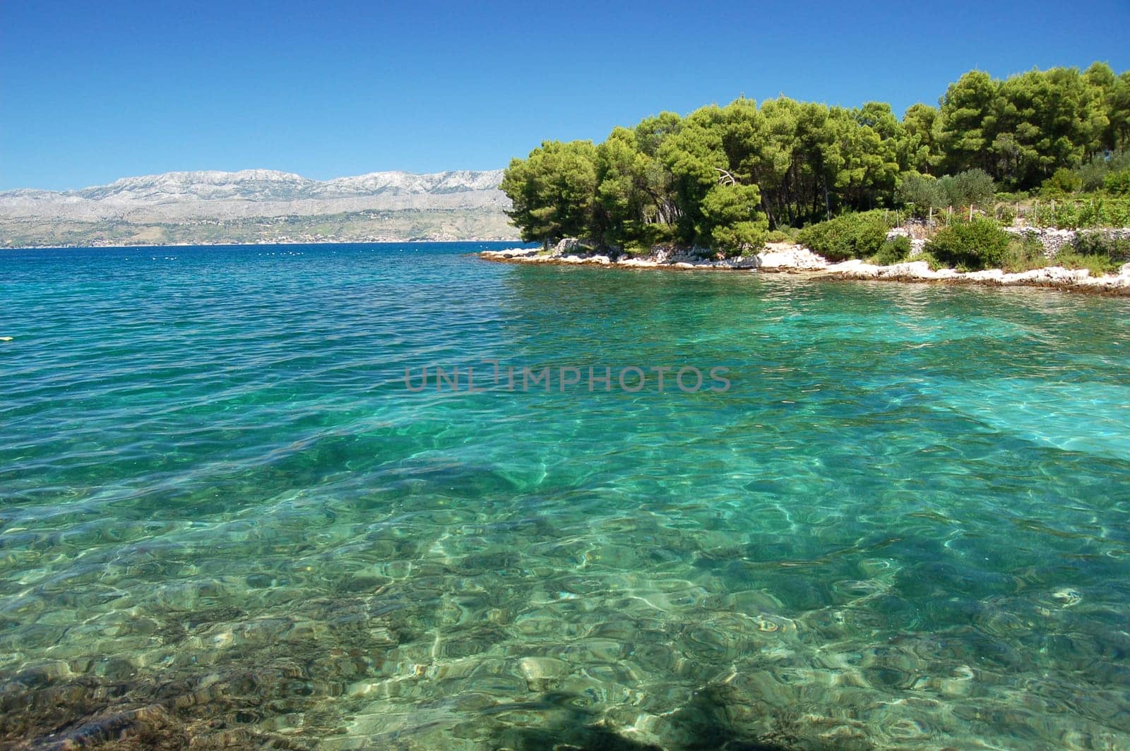 Dalmatian bay, Croatia
