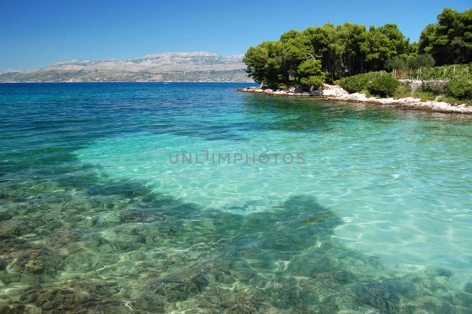 Dalmatian bay, Croatia