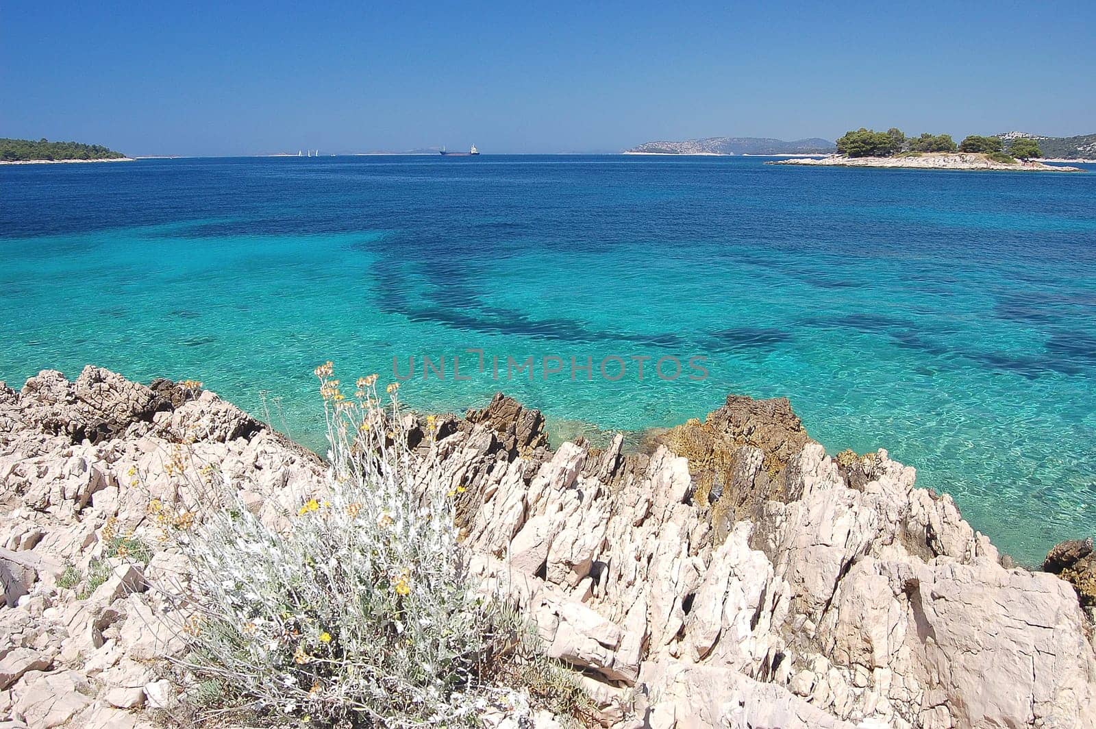 dalmatian rocky beach of adriatic sea  in croatia
