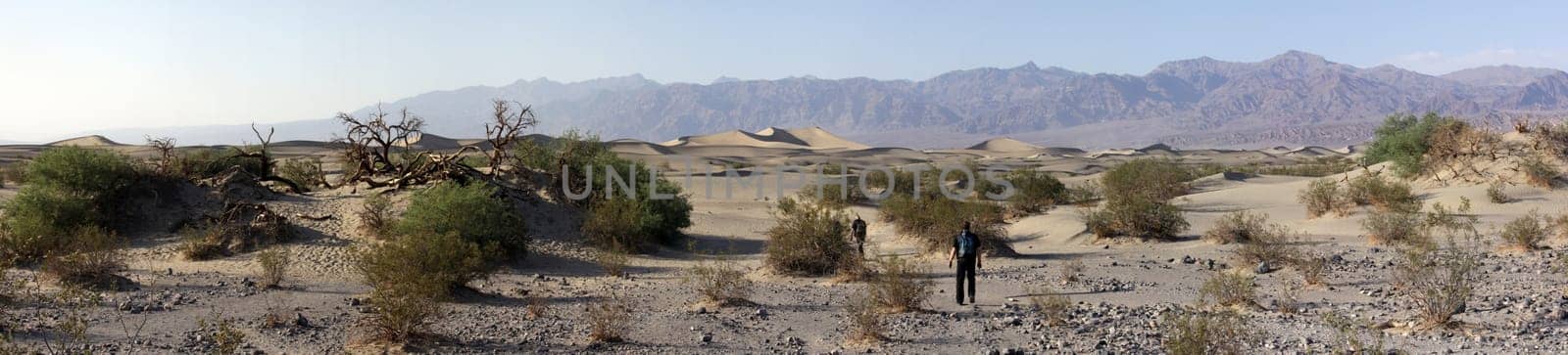 Sand dunes in Death Valley
