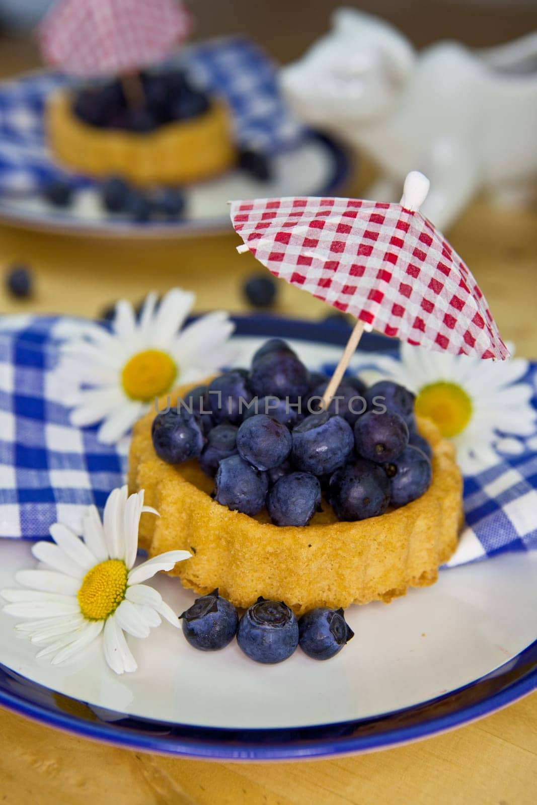Colorful Blueberry Pie