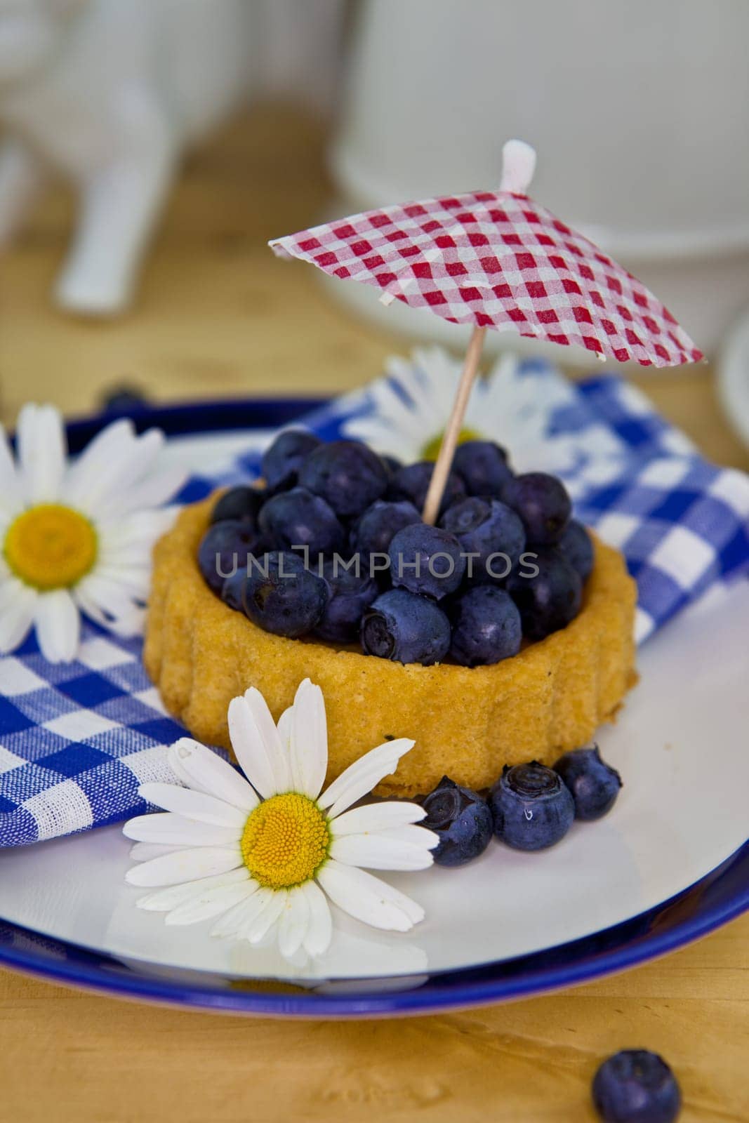 Colorful Blueberry Pie