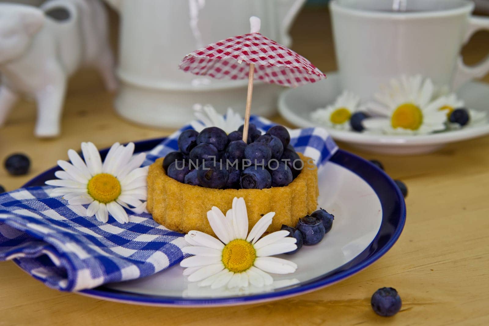 Colorful Blueberry Pie