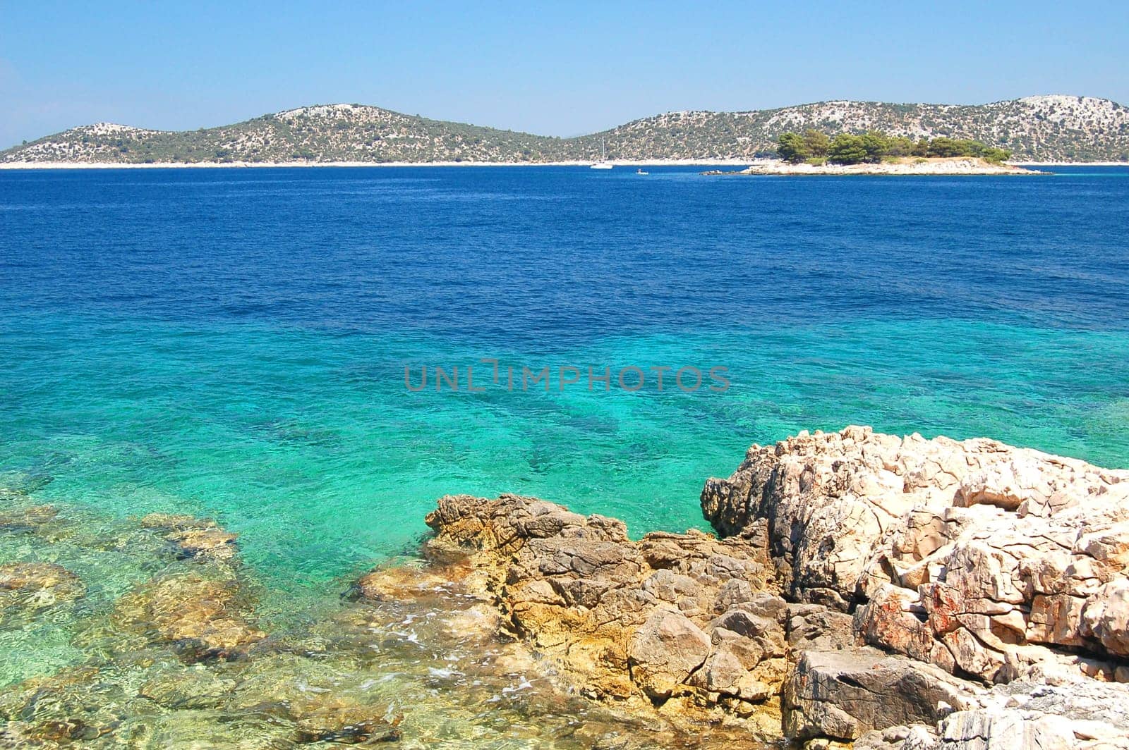 dalmatian rocky beach of adriatic sea  in croatia