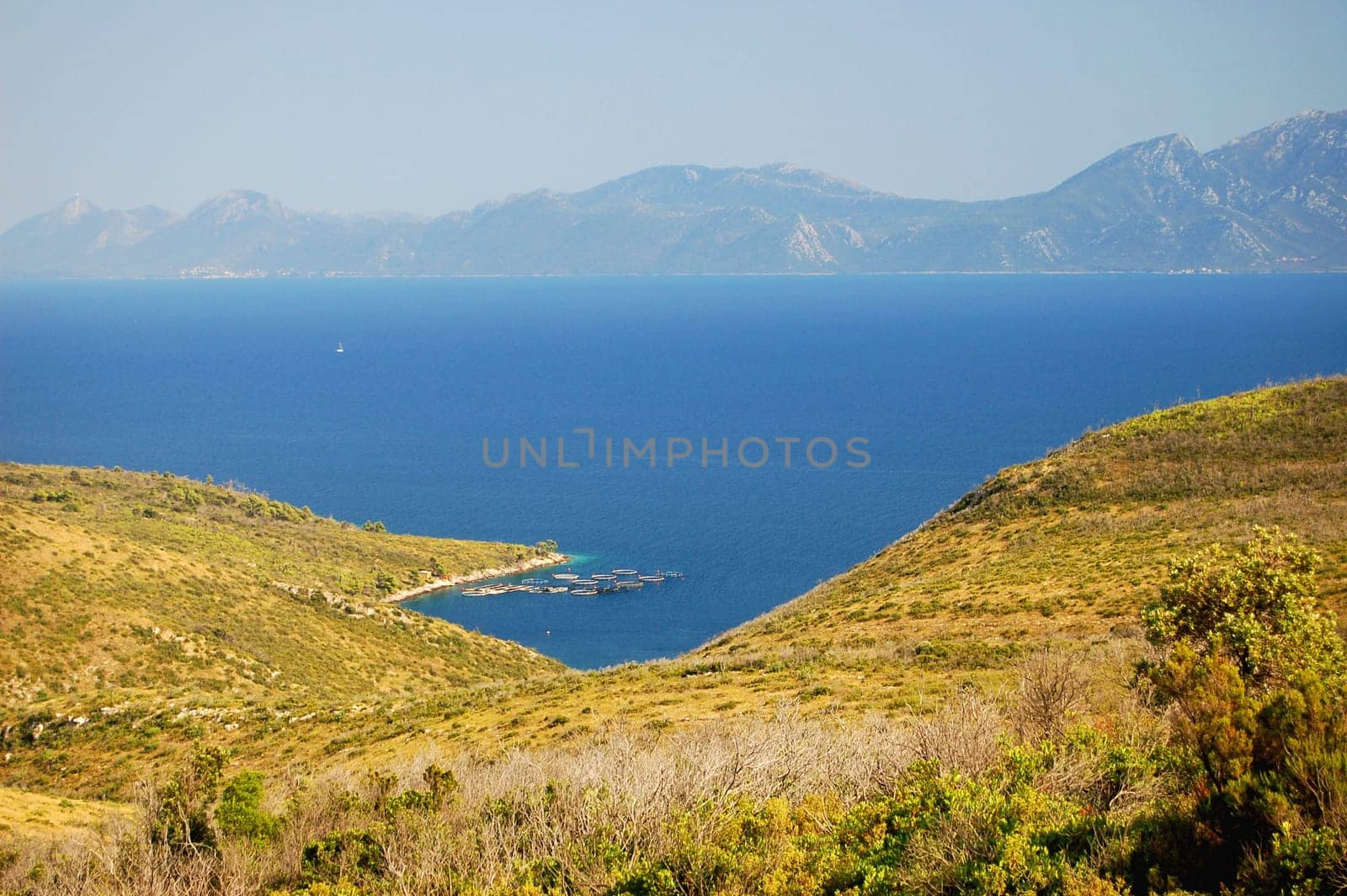 summer landscape of croatia