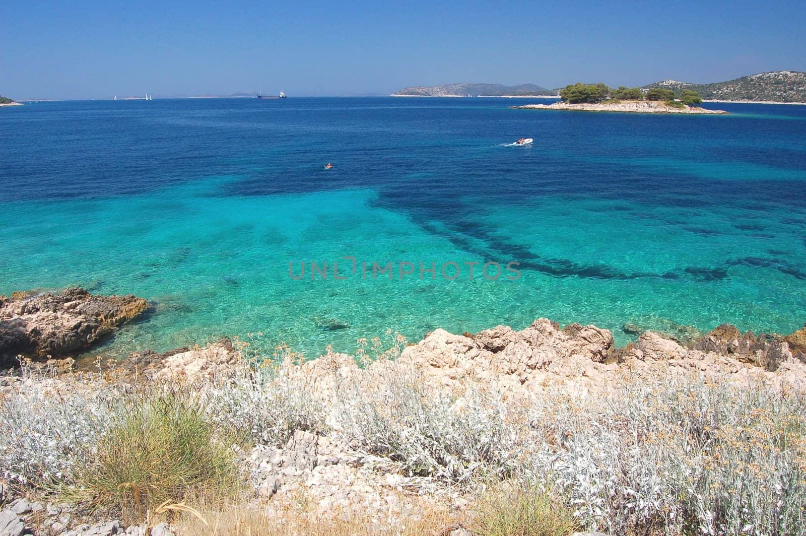 dalmatian rocky beach of adriatic sea  in croatia