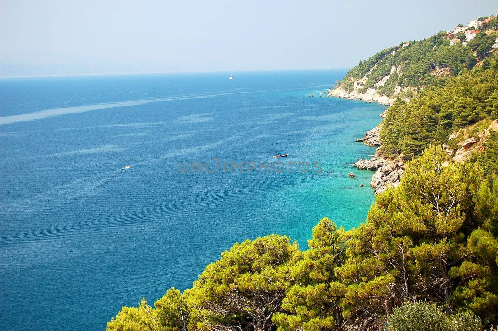 summer landscape of croatia
