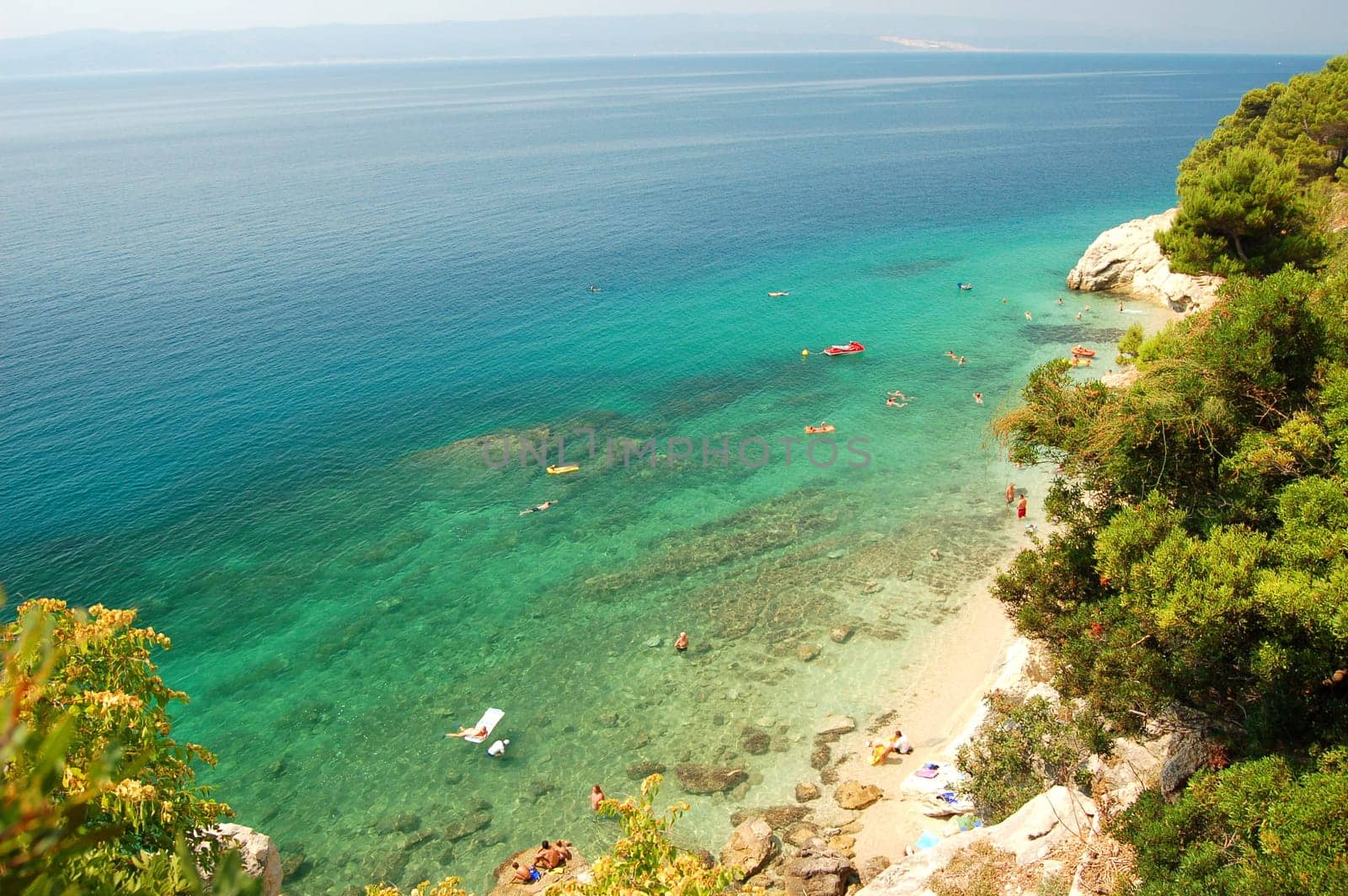 dalmatian rocky beach of adriatic sea  in croatia