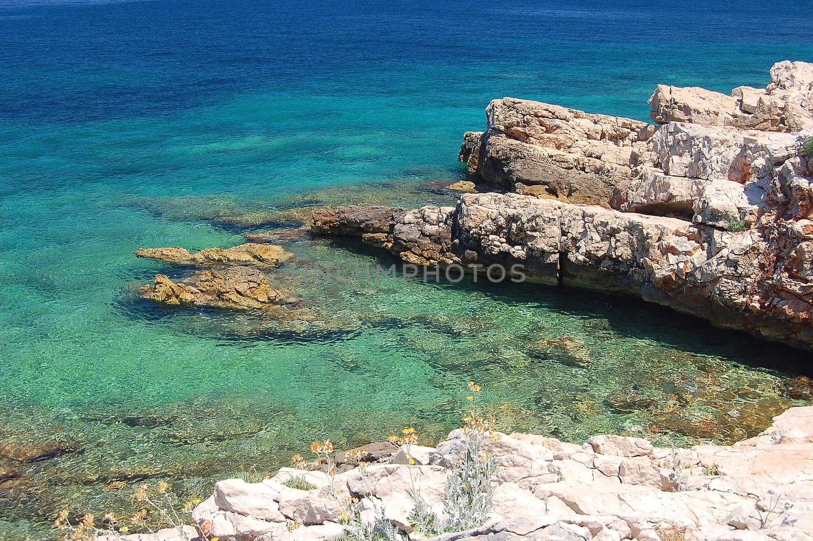 dalmatian rocky beach of adriatic sea  in croatia