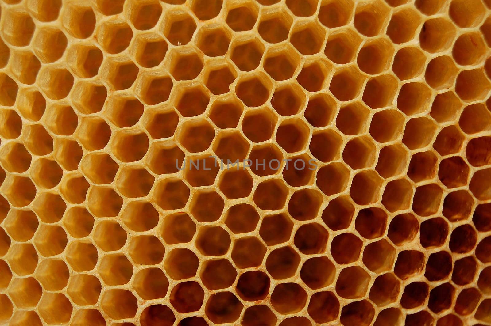 Honeycomb