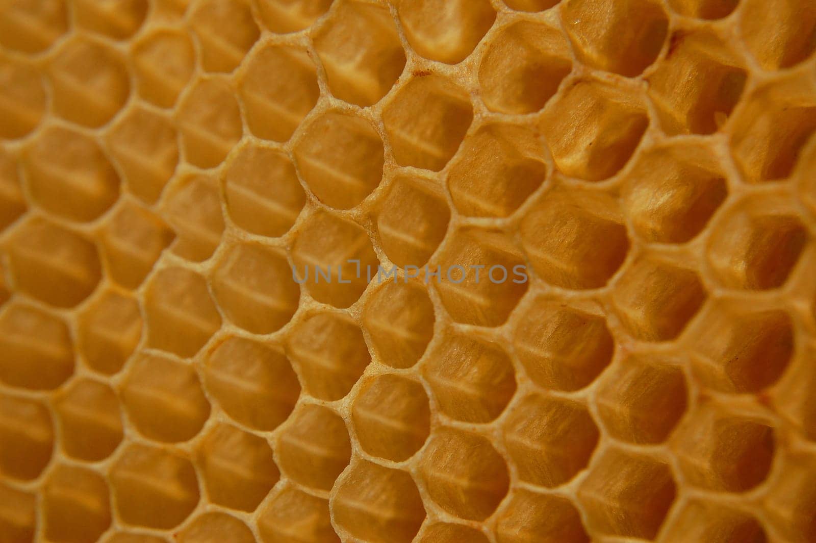 Honeycomb