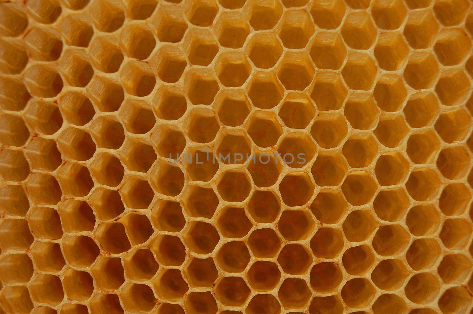 Honeycomb