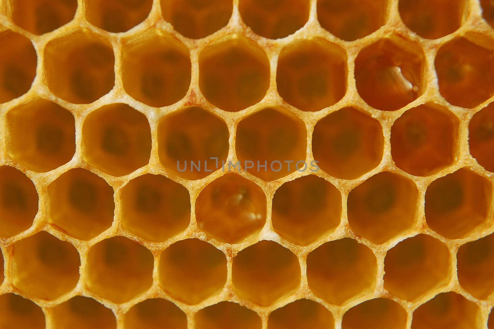 Honeycomb