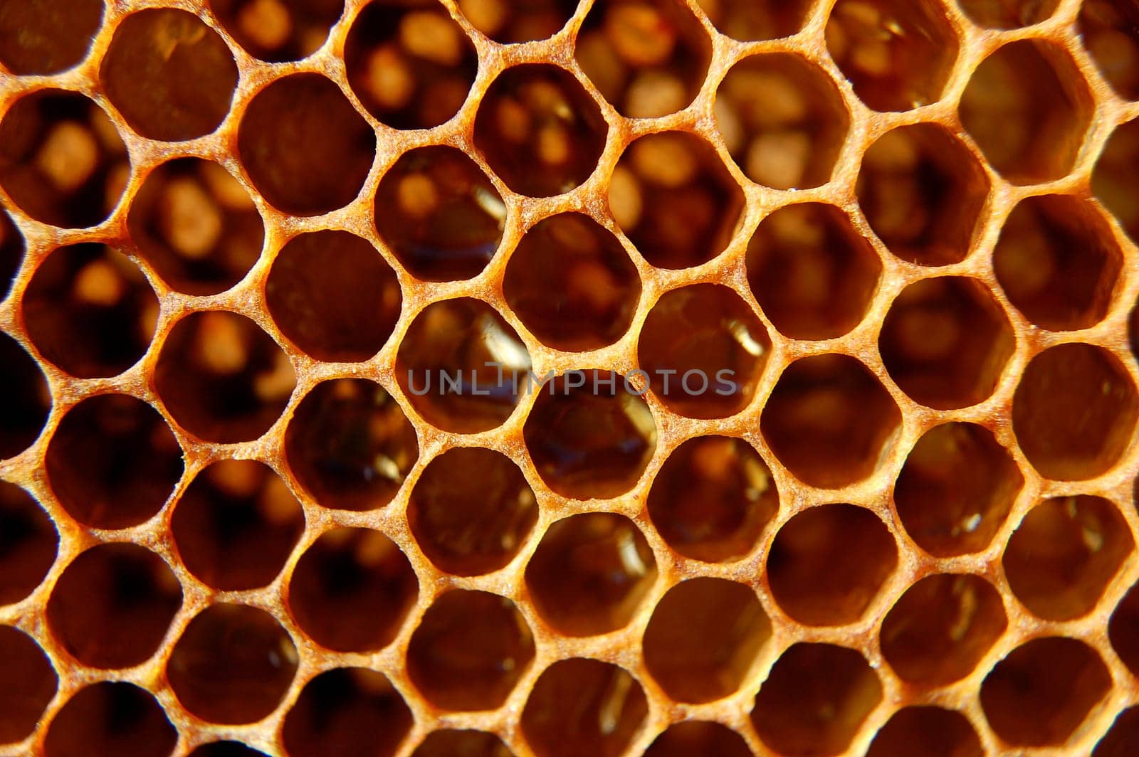 Honeycomb