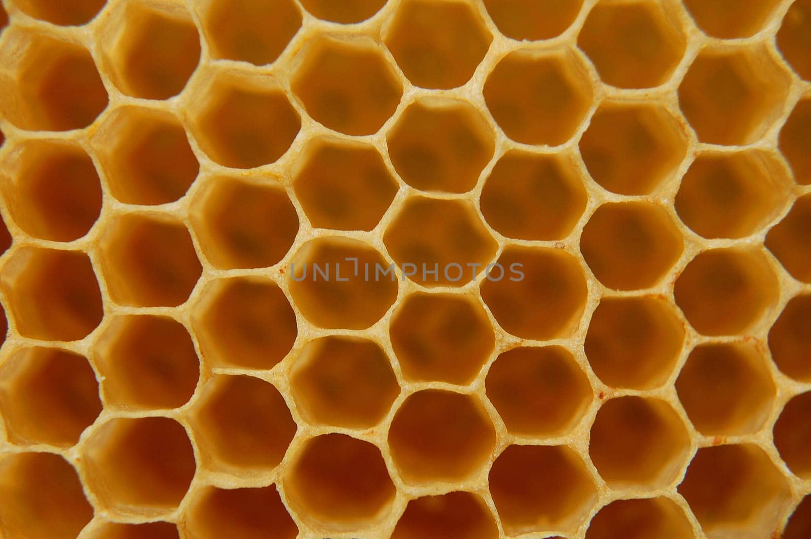 Honeycomb