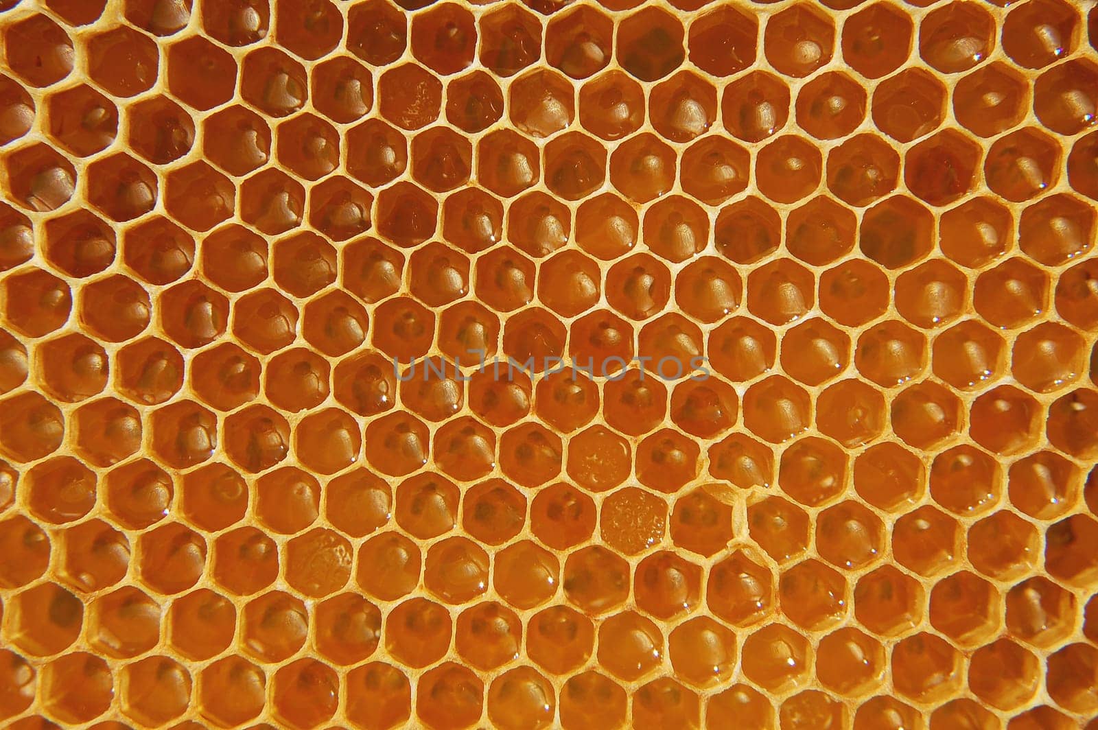 Honeycomb