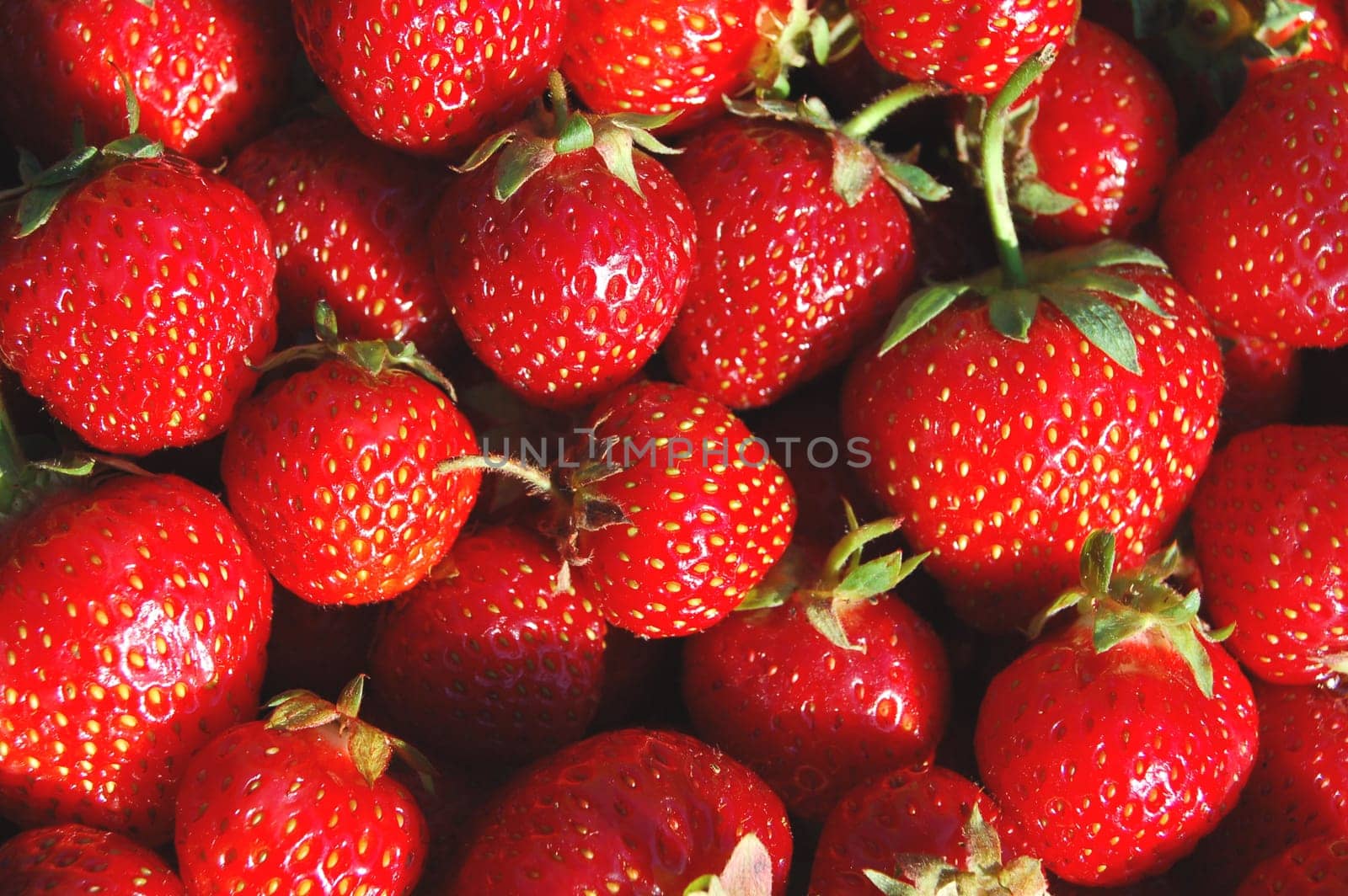 Fresh strawberries