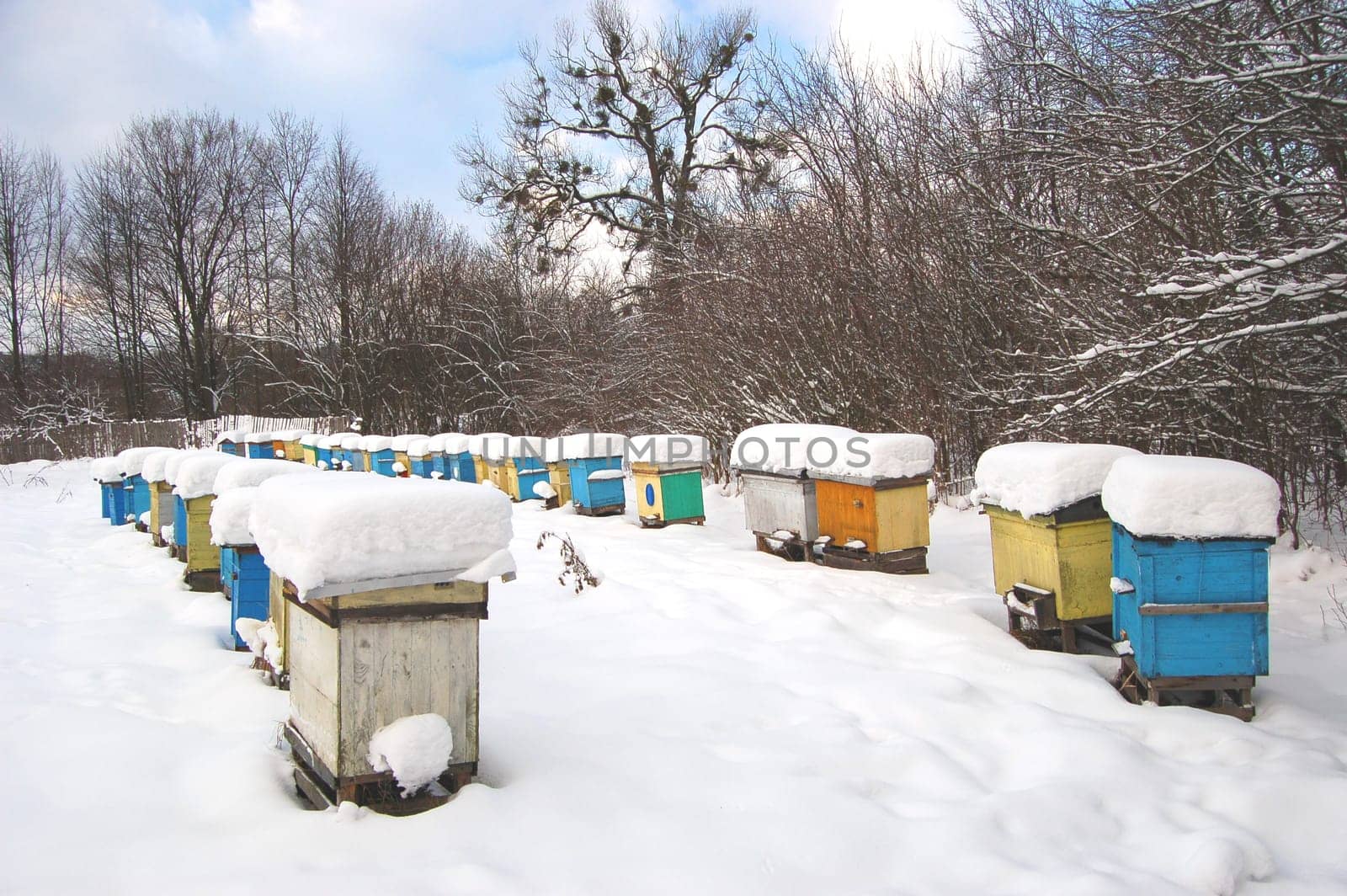 apiary in winterime