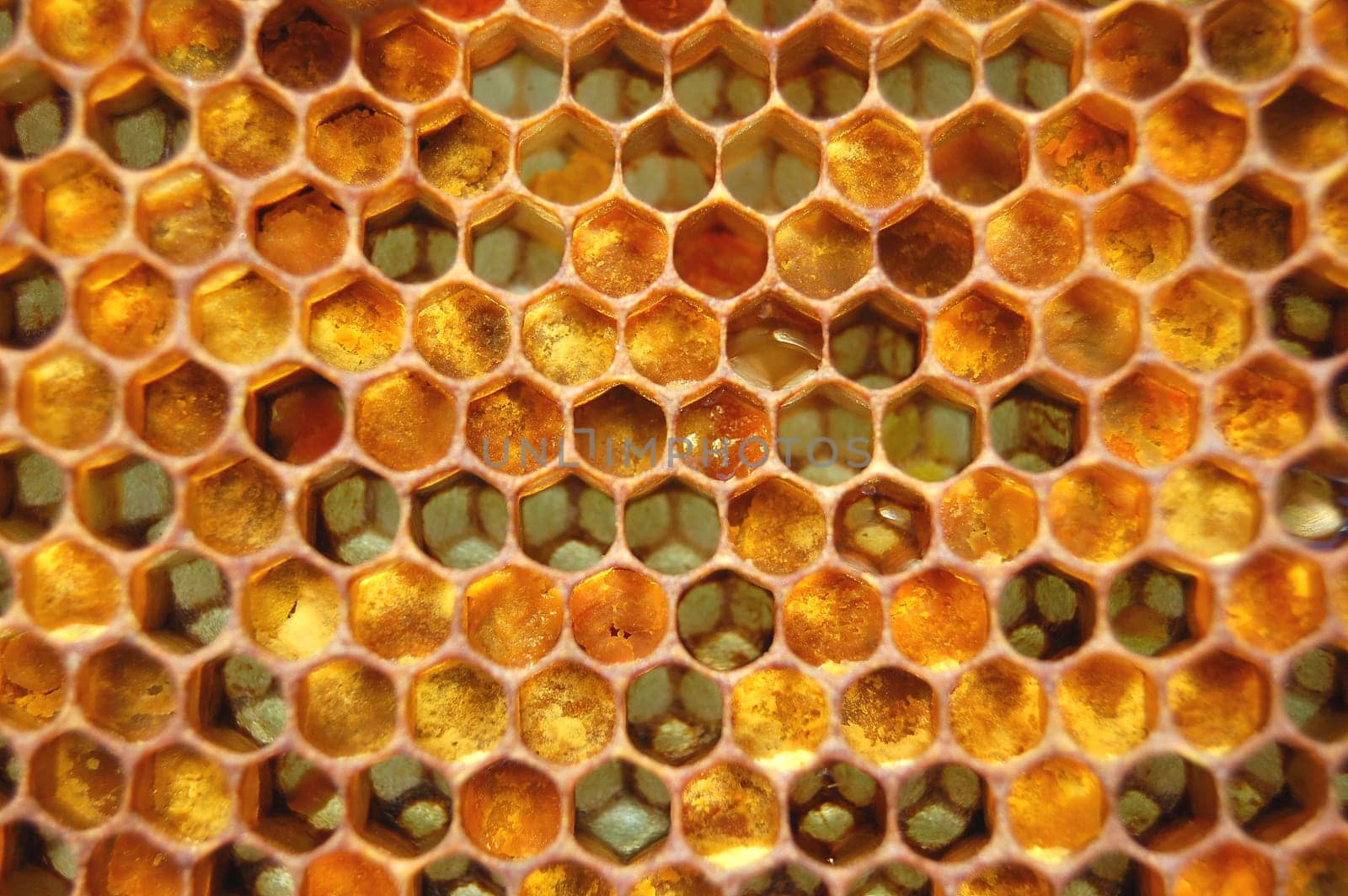 Honeycomb