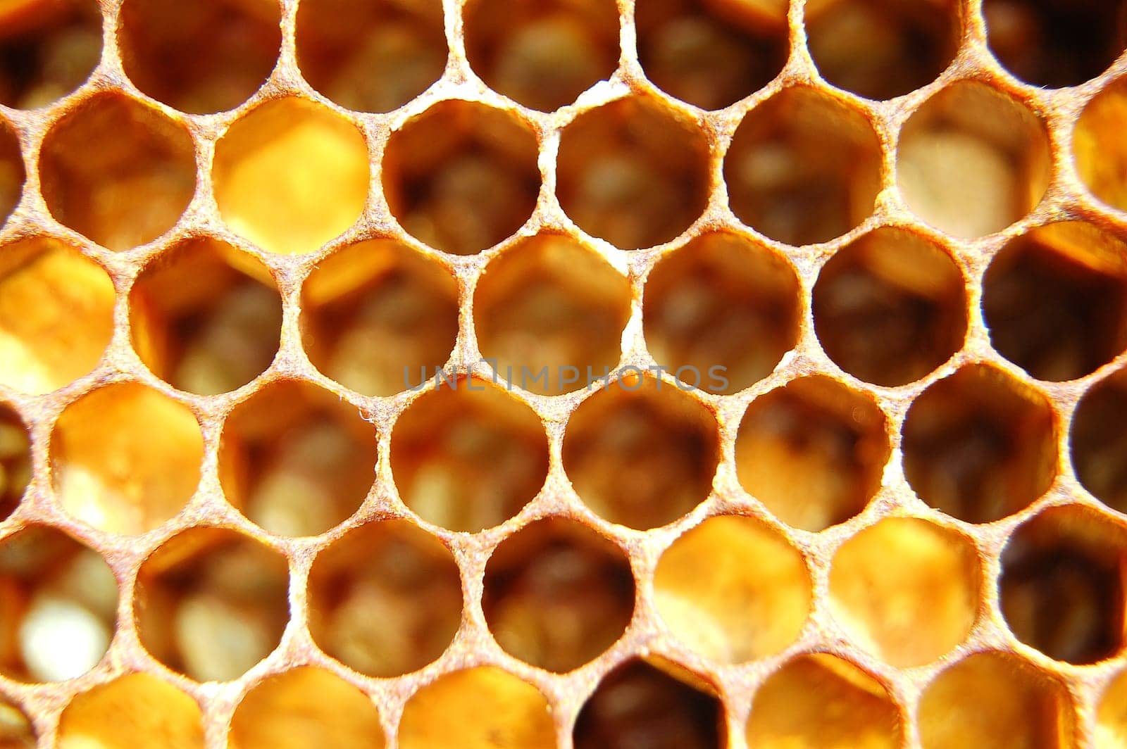Honeycomb