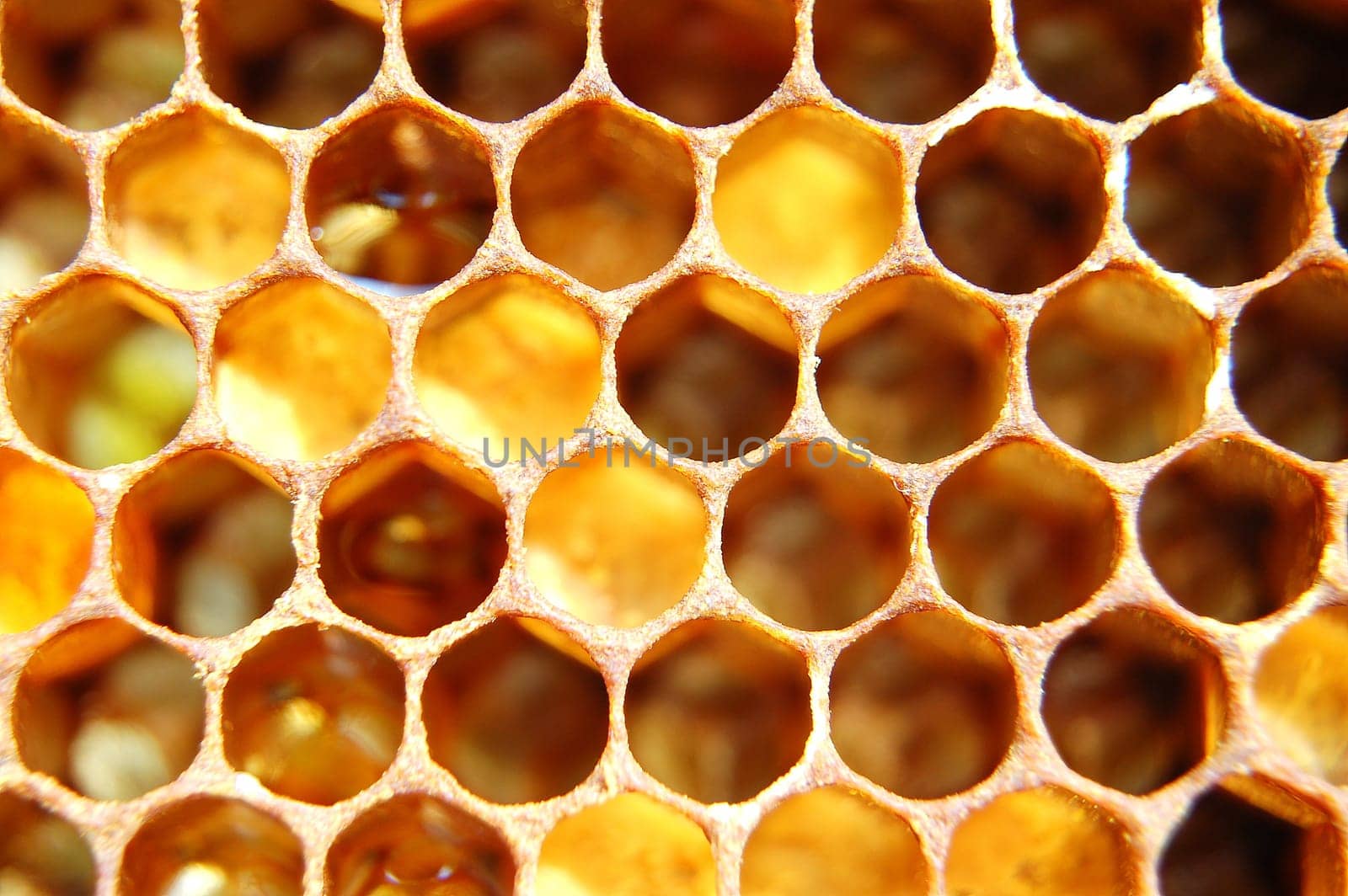 Honeycomb
