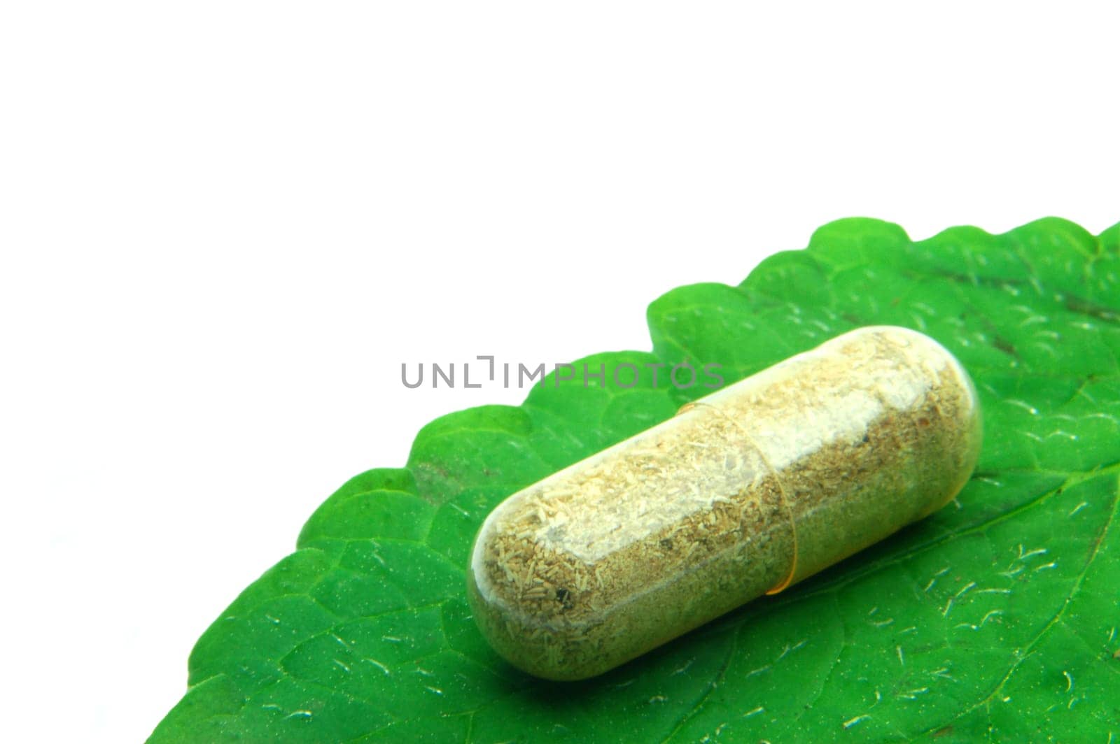Herbal capsules on melisa leaf