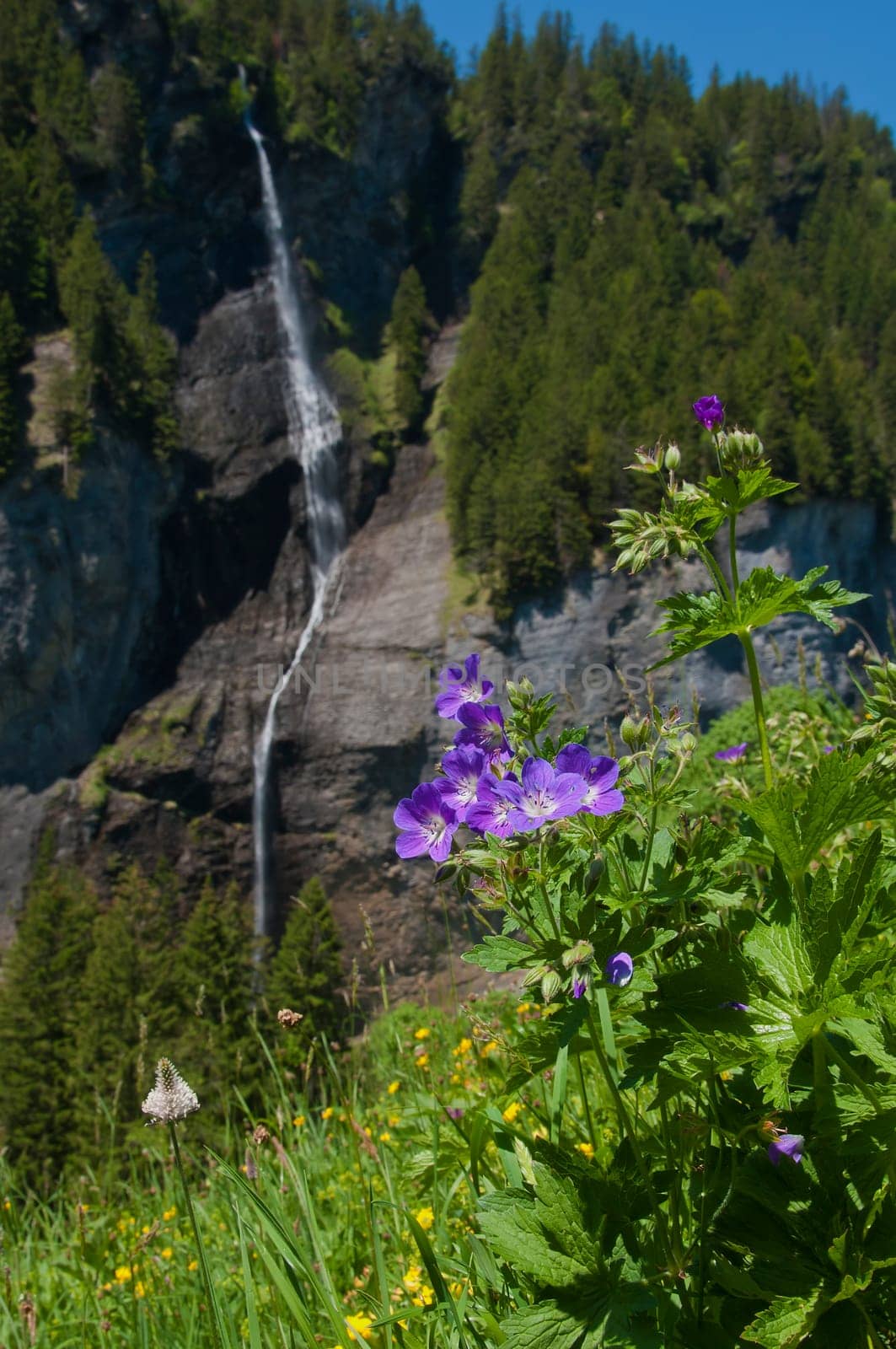 Waterfall in the Bernese Oberland