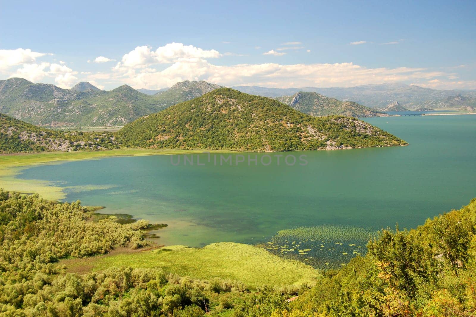 Skadar Lake, Montenegro