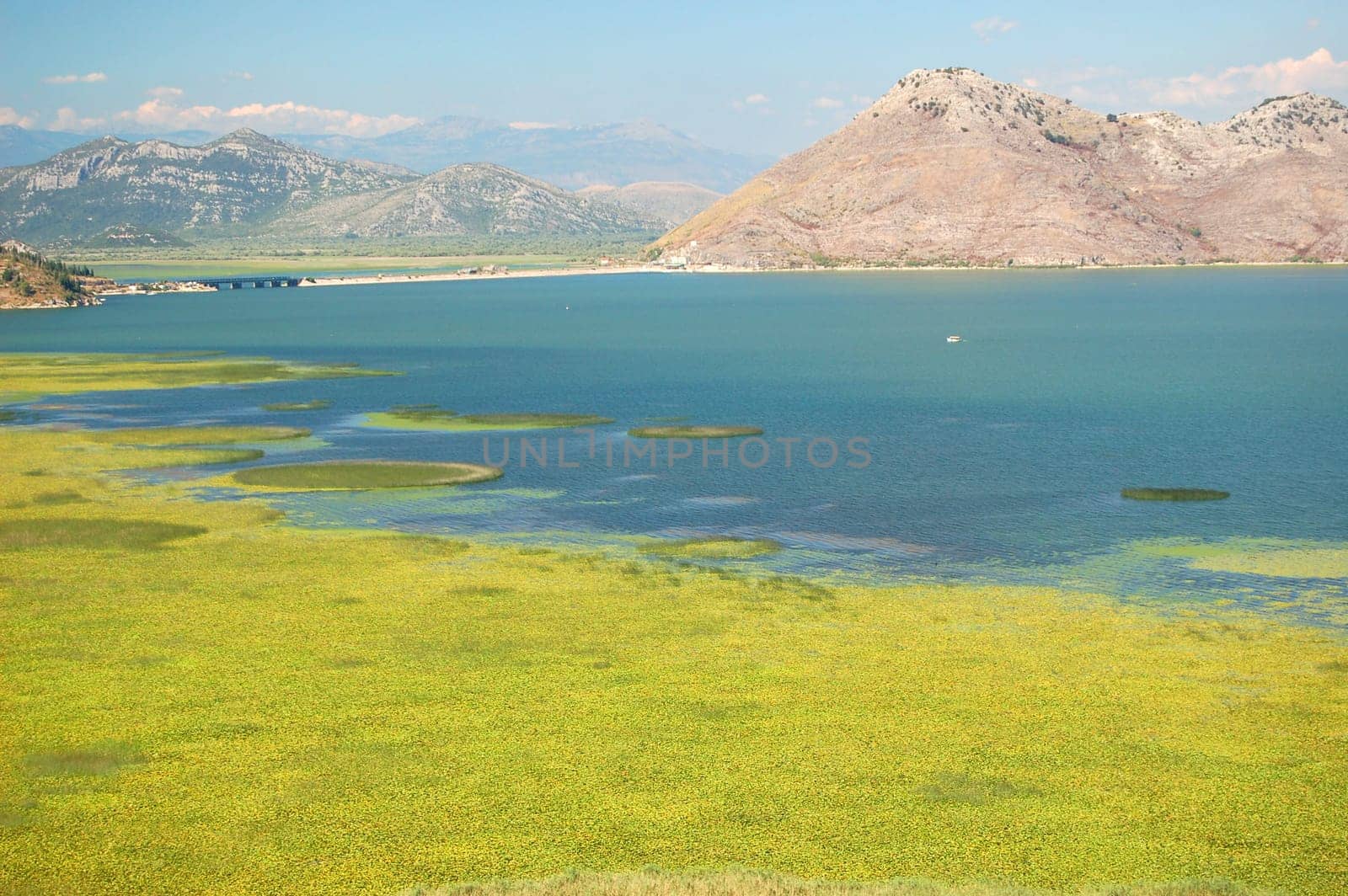 Skadar Lake, Montenegro