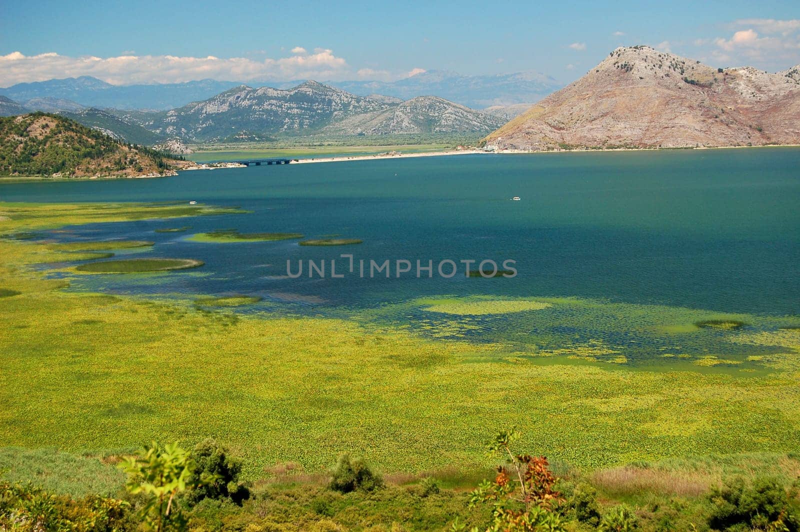 Skadar Lake, Montenegro