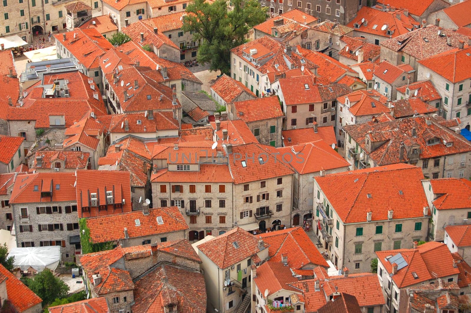 View on Kotor, Montenegro