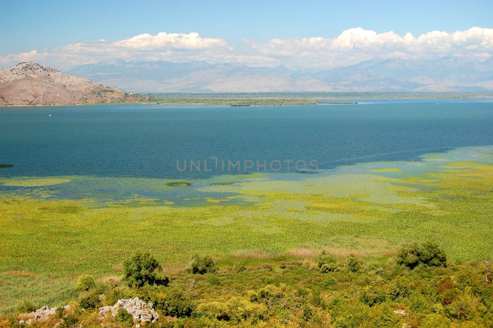 Skadar Lake, Montenegro