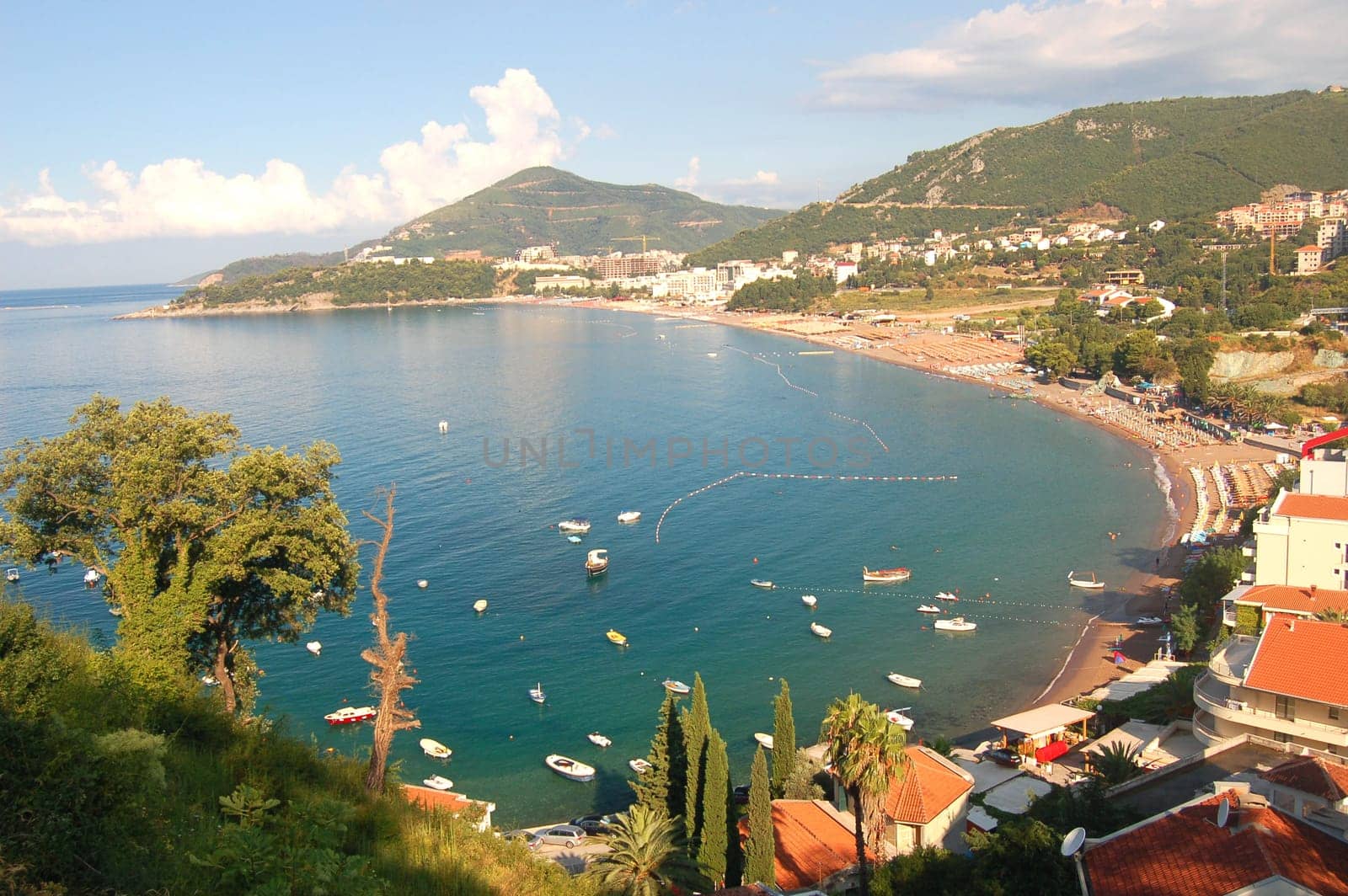 summer landscape of montenegro