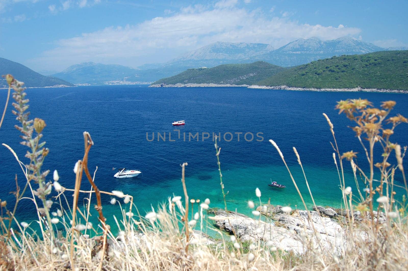 summer landscape of montenegro